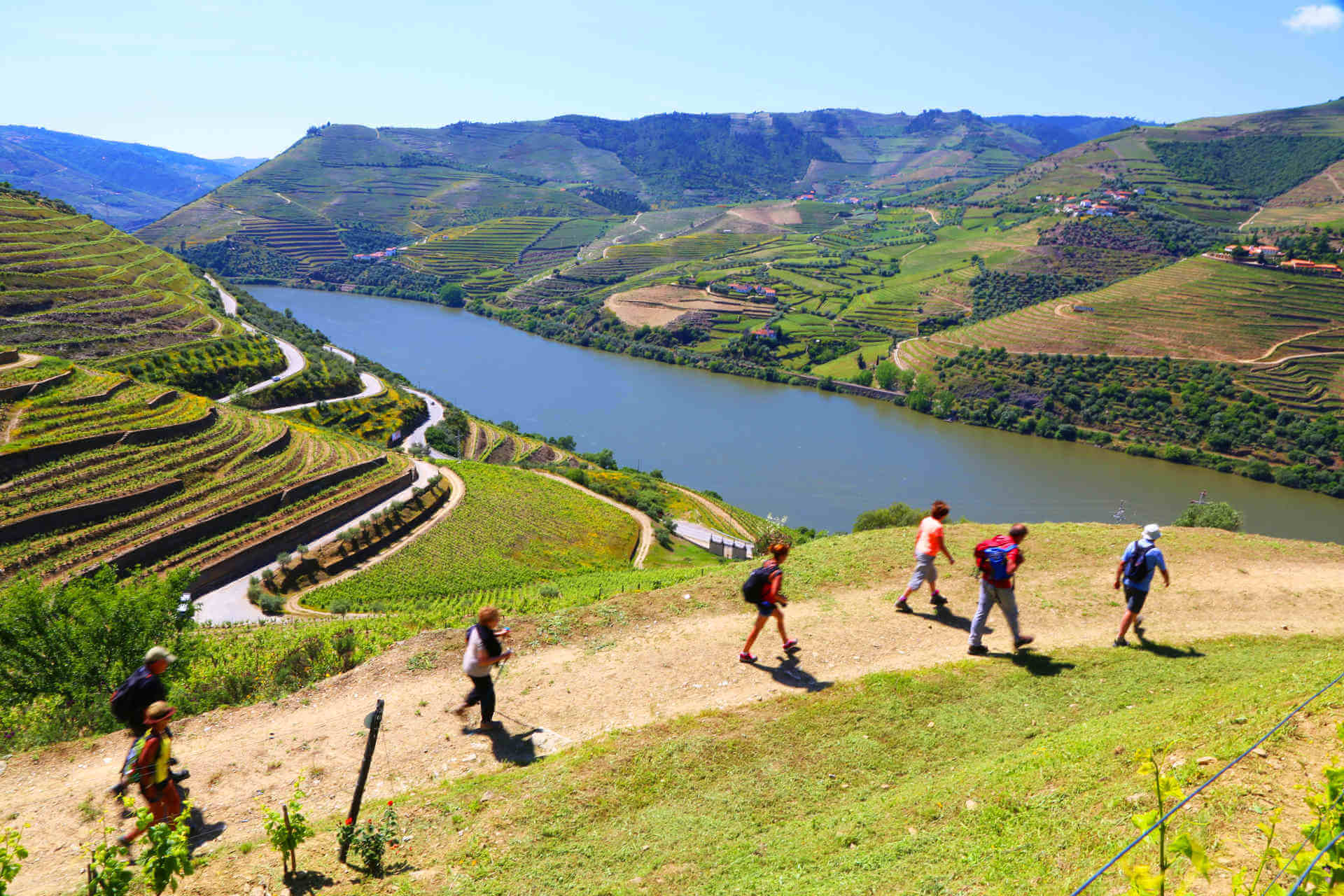 Douro Valley Tour